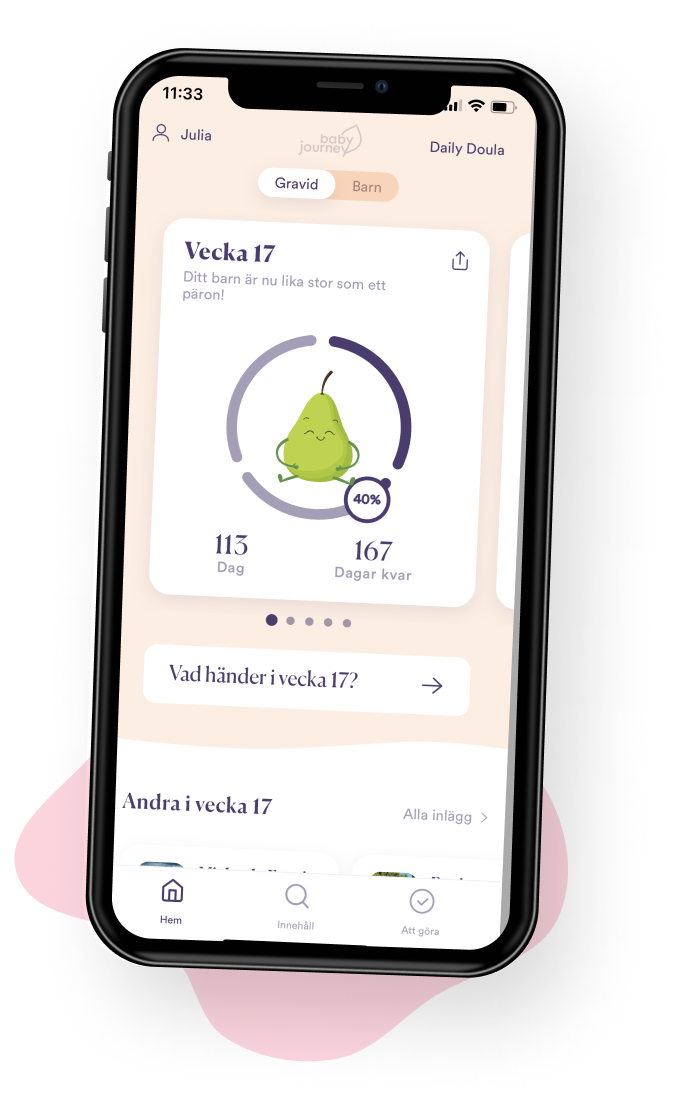 Baby Journey Gravidapp - Hemskärm Gravid